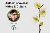 Anthemis Voices: Hiring and Culture