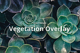 Tiny Trend #4: Vegetation Overlays