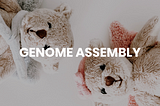 Build-a-Synthetic-Genome is the new Build-a-Bear