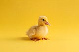 Duck typing in C#