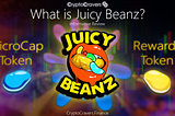 Juicy Beanz: Passive BUSD Rewards Token — Ready to Moon?