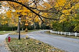 Street view of a fall day with yellow leaves on the trees.