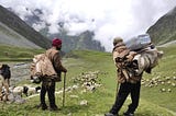 Sheep and Wool of the Himalayan Ecosystem