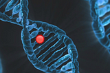 Embryo Screening for Genetic Disorders — PGD