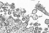 The coronavirus in the air: what we know and what can help