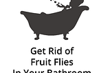 Fruit Flies in the Bathroom?