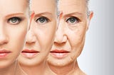 A Scientific Analysis of Ageing