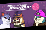 Doge Pound Roundup: Facebook Live, Sketch n Chill, And More