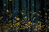 Stylistic Analysis in Fireflies by Owl City