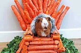 How Writing on Medium Earned Me 8.50 Ounces of Carrots: A Personal Journey