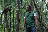 1762 Carbonable NFTs Coming Soon to Fight Deforestation on Madagascar: The Manjarisoa Project