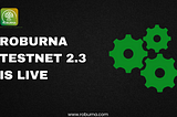 Roburna Testnet Phase 2.3 Goes Live