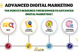 Advanced Digital Marketing Article+PDF’s​