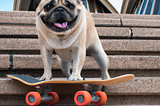 Pugs