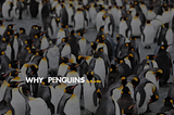 Why Penguins?