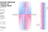 Male and Female Sides of the Body