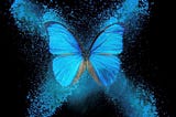 The Butterfly Effect in Business & Life