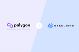 SteelBird Collaboration with Polygon