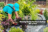 Choosing Garden Services in Sydney: DIY or Pro?