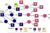 Schematic visualization of the Address-Transaction graph