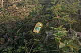 #2kmcleanup: Litter in Hedgerows