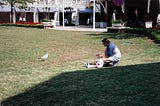 A young child and her father on the grass looking at a seagull in a tourist courtyard