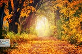 30 Min Relaxation Music For Stress Relief And Healing | Autumn Scenes | Relaxation Music