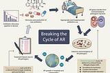 Breaking the cycle of antibiotic resistance