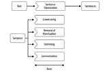 Stemming & Lemmatization