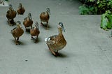 Five Tips for Cross-Functional Leadership