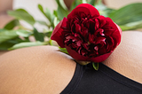 Red rose on person lap