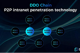 DDO Chain: A Leading Decentralized Distributed Encrypted Data Storage Solution