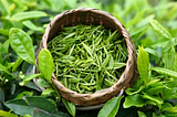 best green tea extract supplier