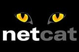 What is the Netcat and how to use it?