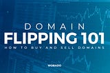 Domain Flipping 101 — How to Buy Domain Names and How to Sell Domain Names