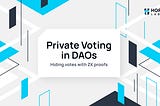 Protecting Voter Privacy in DAOs