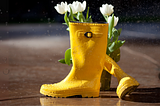 Scorpio Full Moons and Mercurial Swoons: The Astrology of May 2025*