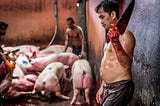 A blood-spattered slaughterhouse worker holds a knife as pigs await their fate