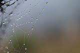 Ephemeral Rhapsody