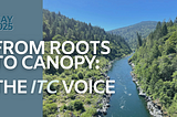 Good Fire and Strong Sovereignty: Cultural Burning as a Path to Indigenous-Led Forest Stewardship