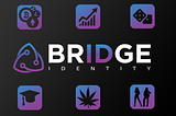 Bridge Identity Platform Real-World Use Cases