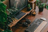 How having plants around your desk space can help you 10x your productivity! 🌿