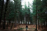 Quand Meetic rencontre Maforêt, ça matche pour longtemps !