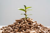 Nitrogenous Fertilizer Market Size, Share, Application Analysis Forecast, 2032
