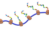 Protein translation takes places in multiple ribosomes at the same time!