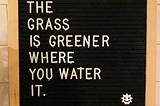 The grass is greener where you water it