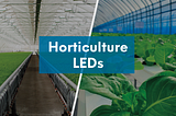 Horticulture LEDs