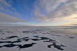 Is the Climate a Crisis?