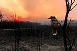 The Australian fires, the Earth Mother in her own rite of passage and grief