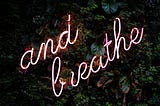 Have You Noticed Your Breath Today?